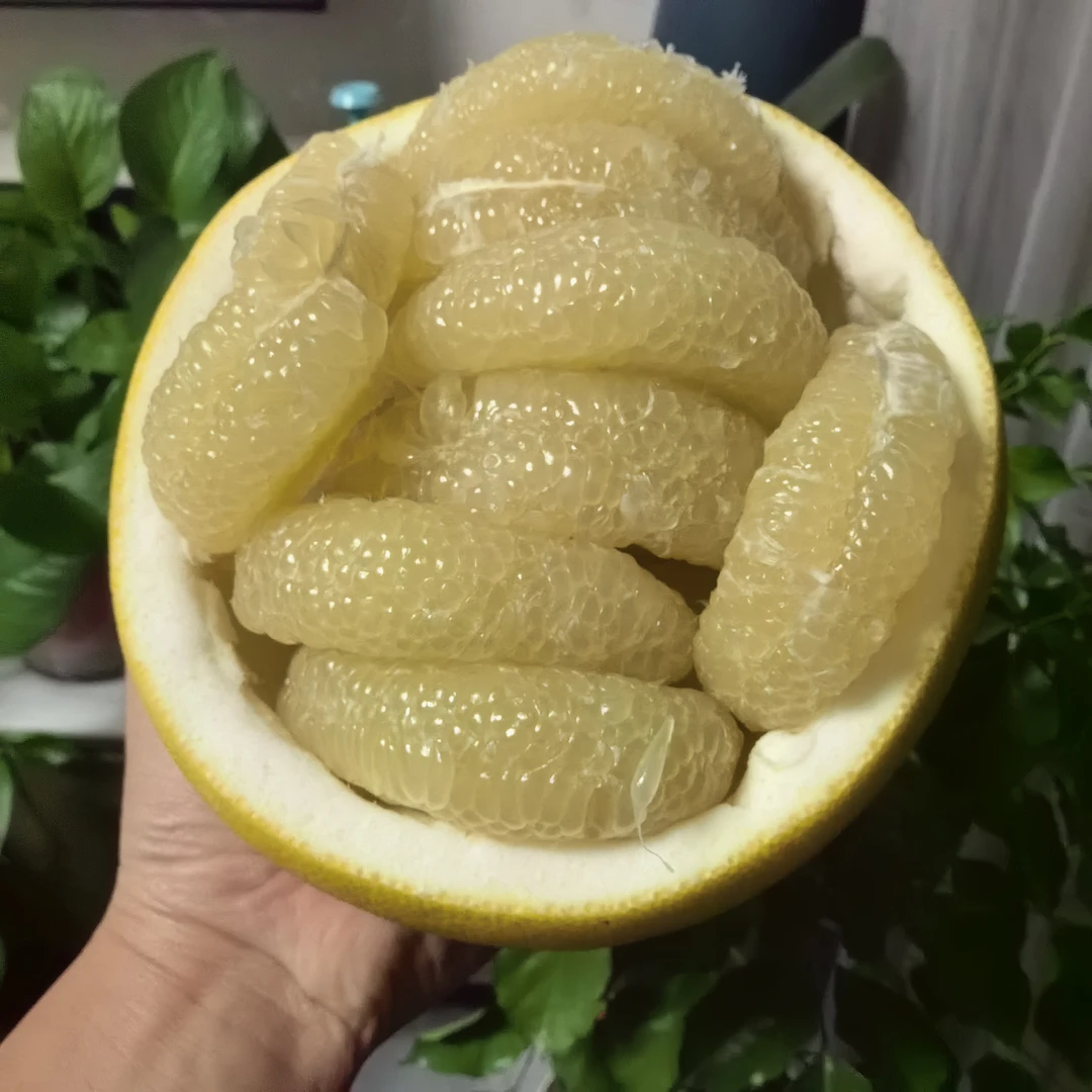 正宗梁平柚重庆特产平顶柚当季水果龙滩柚老树白心整箱现摘现发