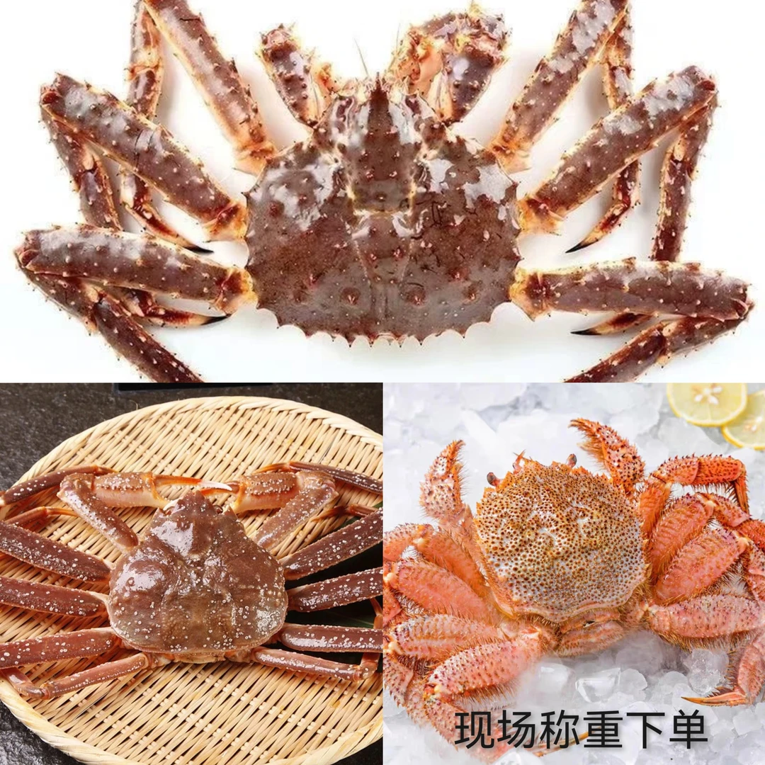 俄罗斯帝王蟹 松叶蟹 红毛蟹 现场称重下单 保鲜不保活