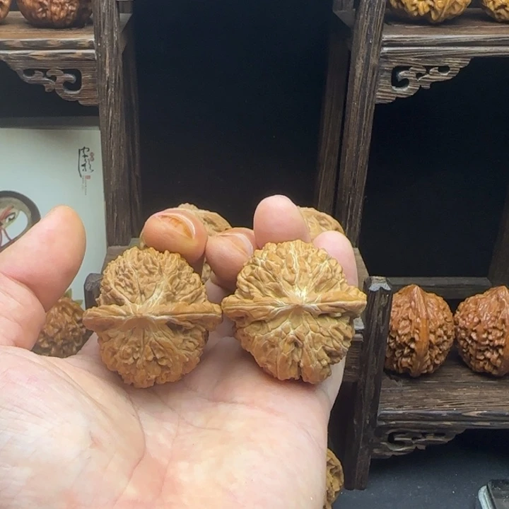 核桃137狮子头全品