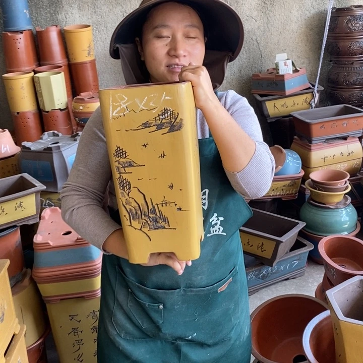 紫砂花盆盆栽花卉苗木种植