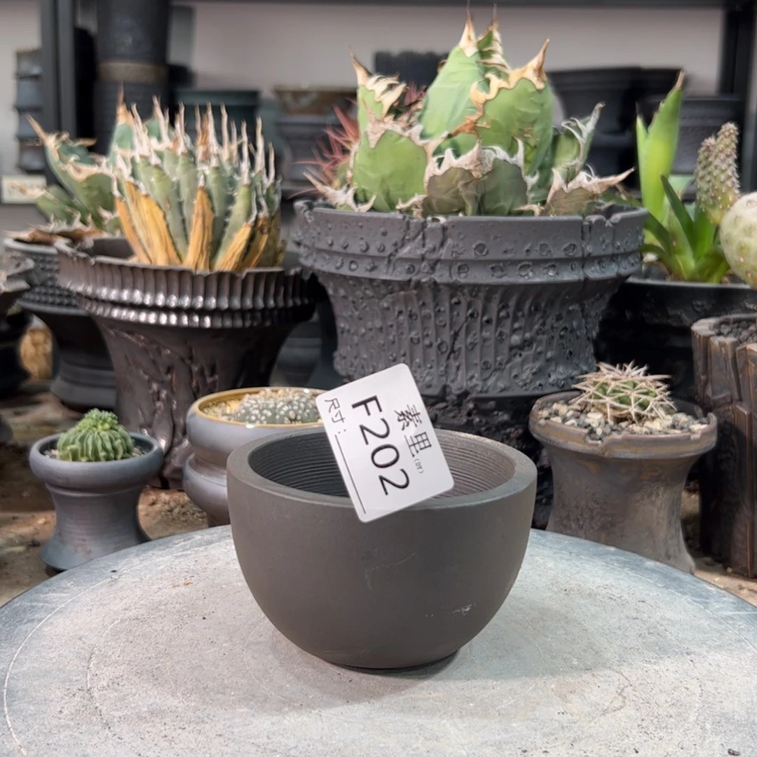 景德镇手工素里内口9高6.5