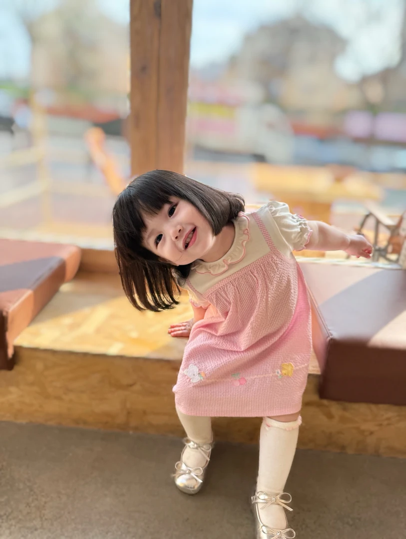 私定原标fam家女童假两件纯棉进口英氏小动物刺绣泡泡纱连衣裙