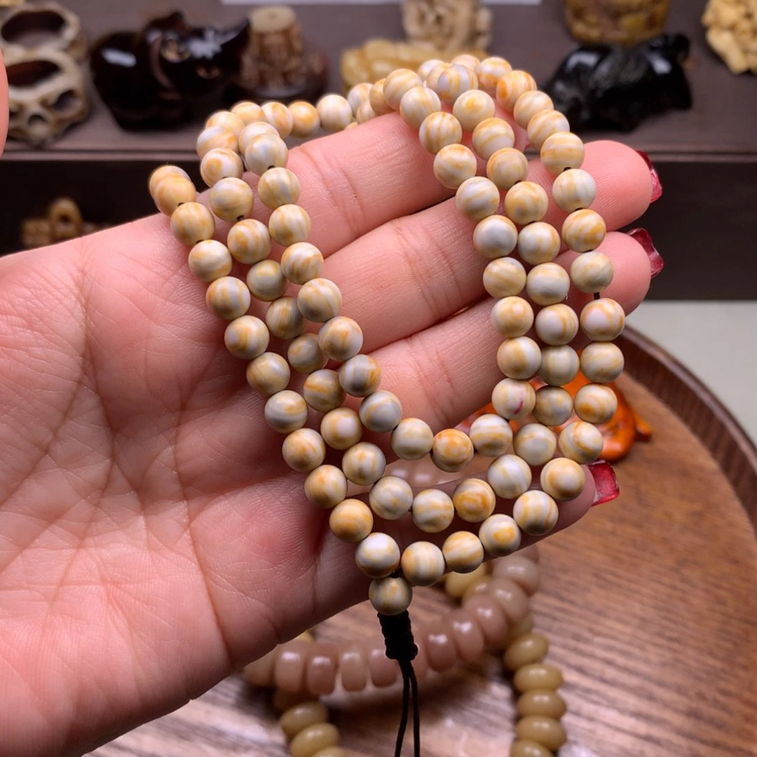 驼骨其他猛犸臼齿