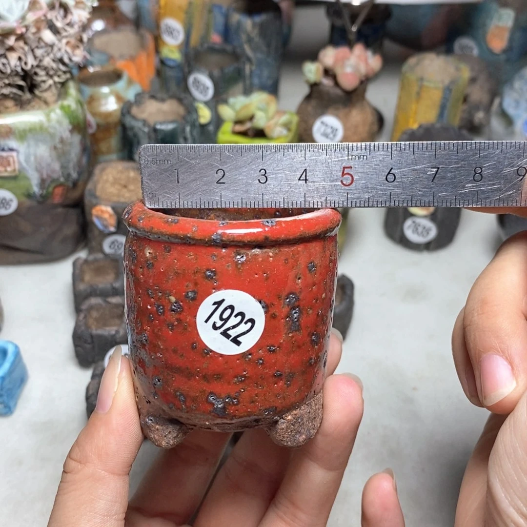 拍3送一9.9的拍5送同款