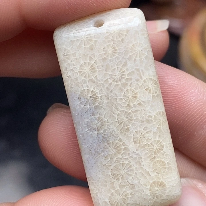 硅化玉未镶嵌颈饰