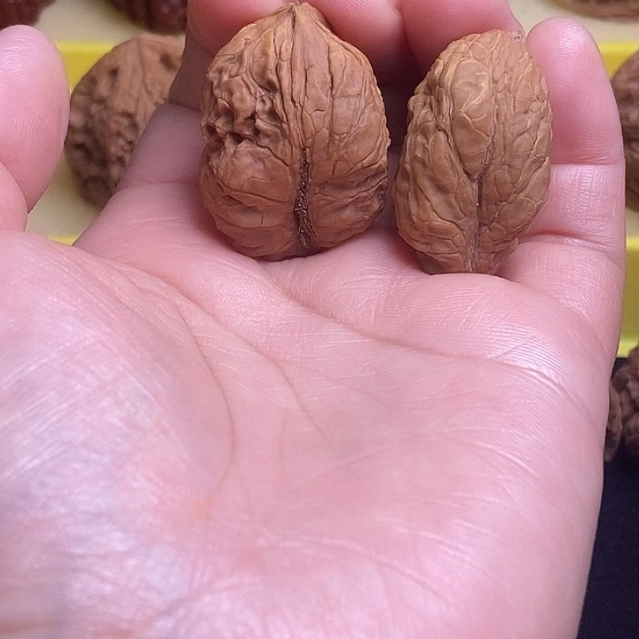 南疆福利24异形福利价