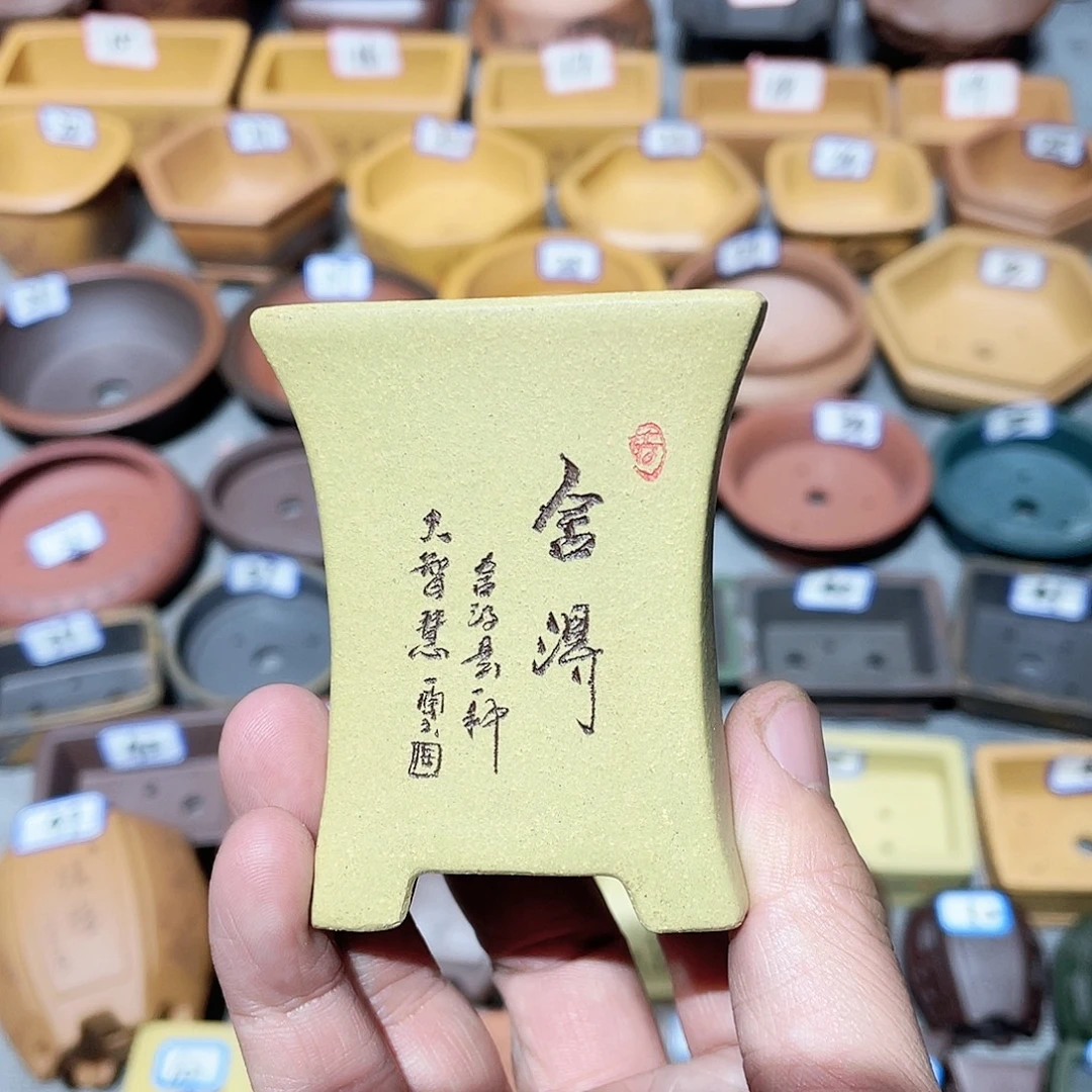 紫砂小盆5*3*6cmmmm