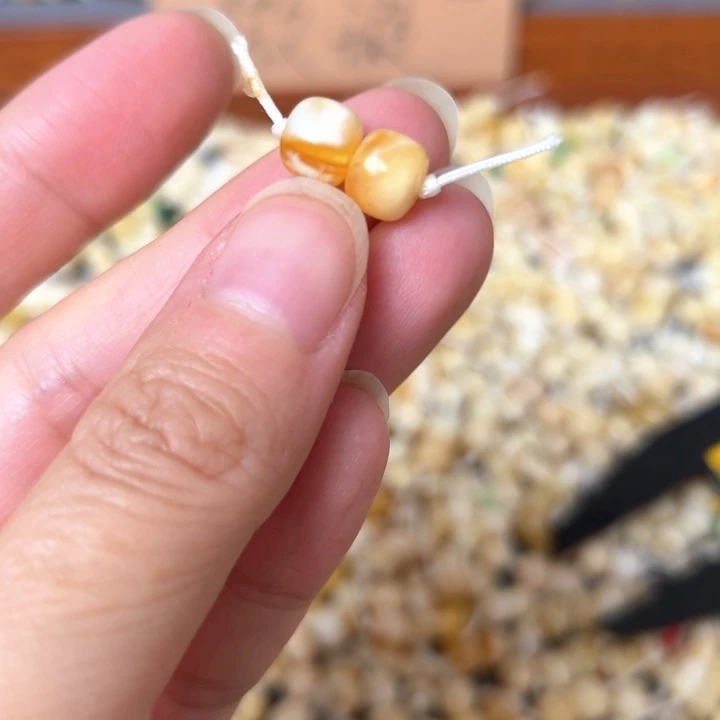蜜蜡未镶嵌裸石7.9mm一对