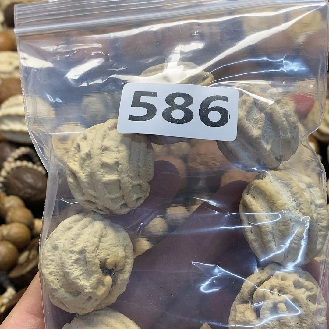 柏香籽/百香籽吊坠平**淡
