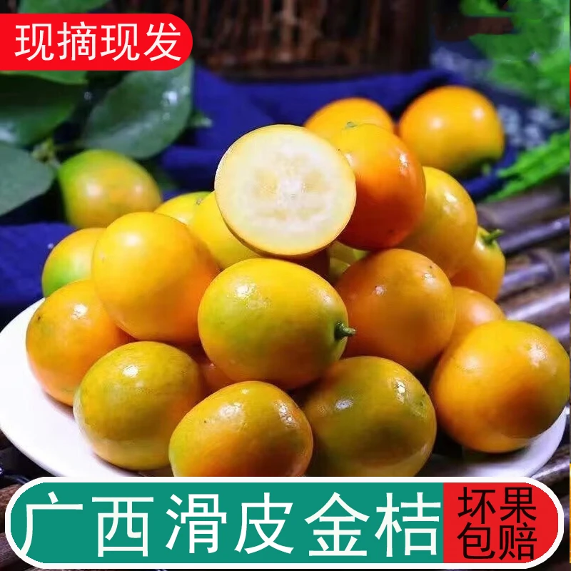 【纯甜】广西融安滑皮金桔新鲜应季水果橘子黄皮桔二代脆皮金桔子