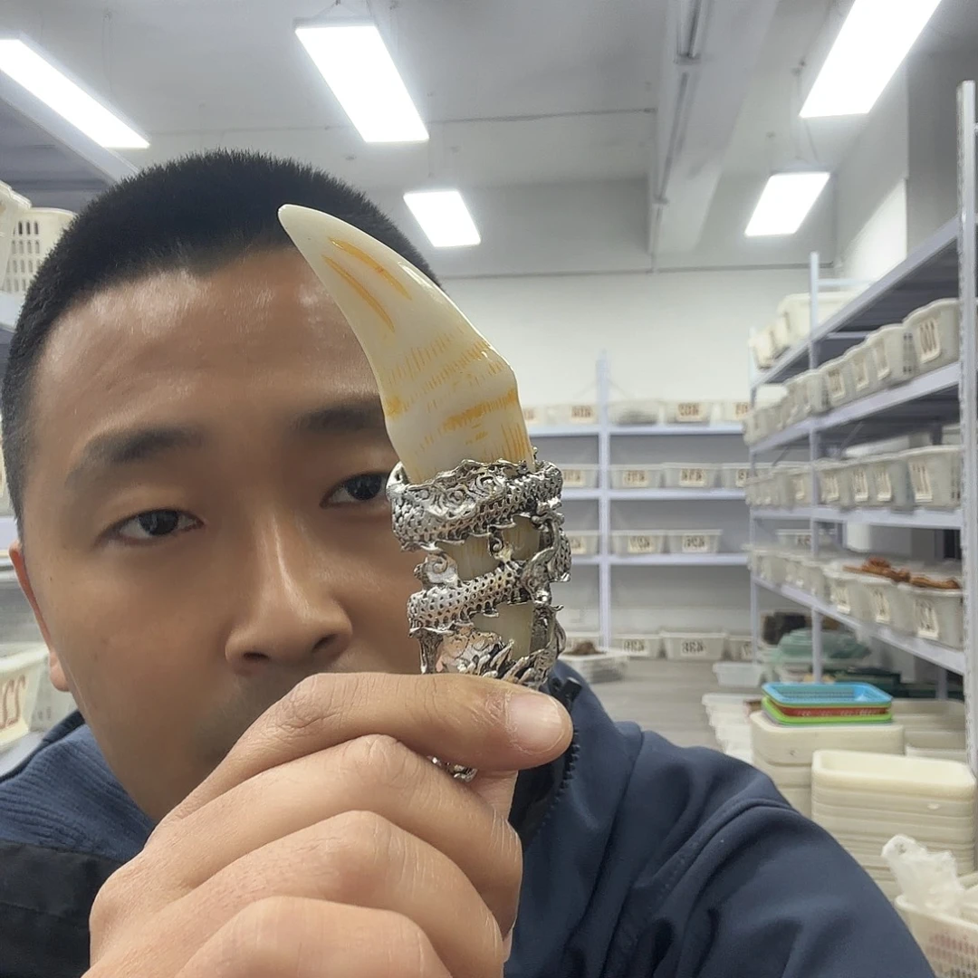 把件白玉菩提上牙