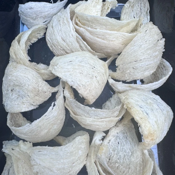 燕盏加里曼丹优质核心产区孕妈妈首选拉丝蛋香味浓郁高干净度