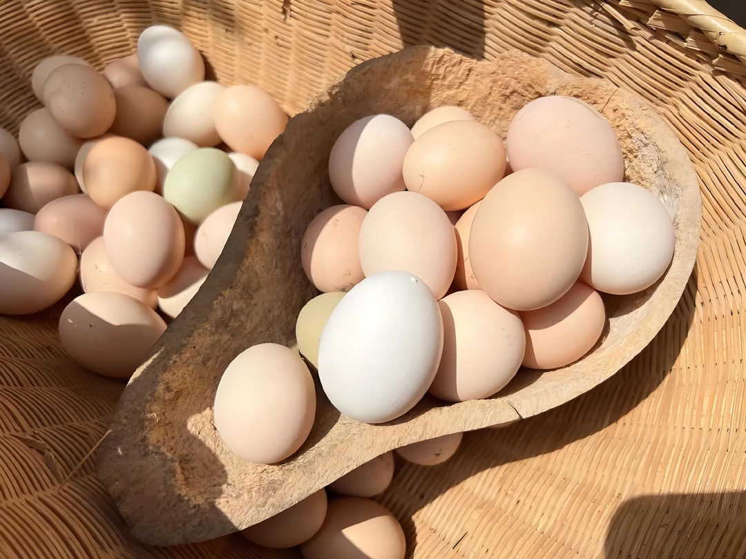 农村正宗粮食土鸡蛋