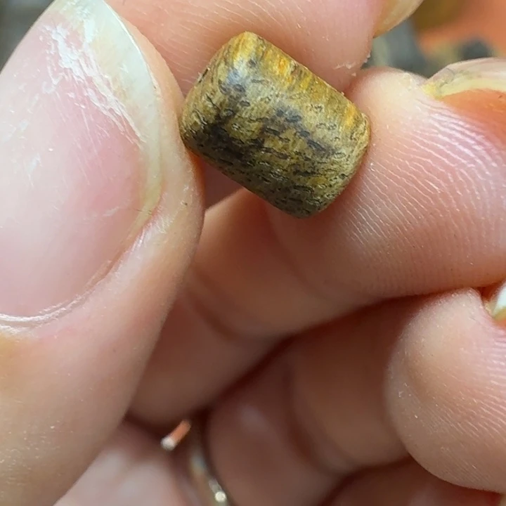 大叶紫檀（黑酸枝木类）