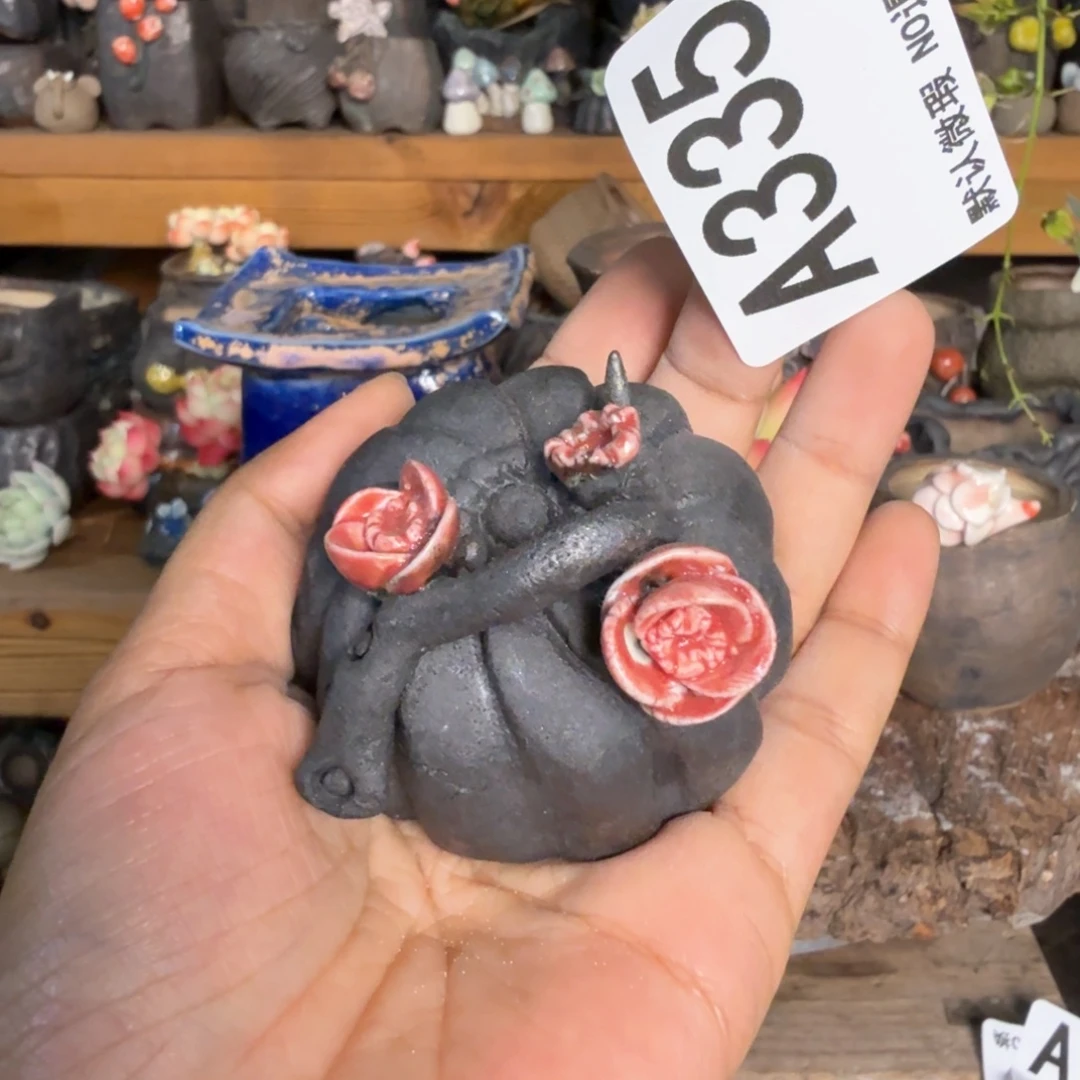 重庆小燕子欢迎大家335