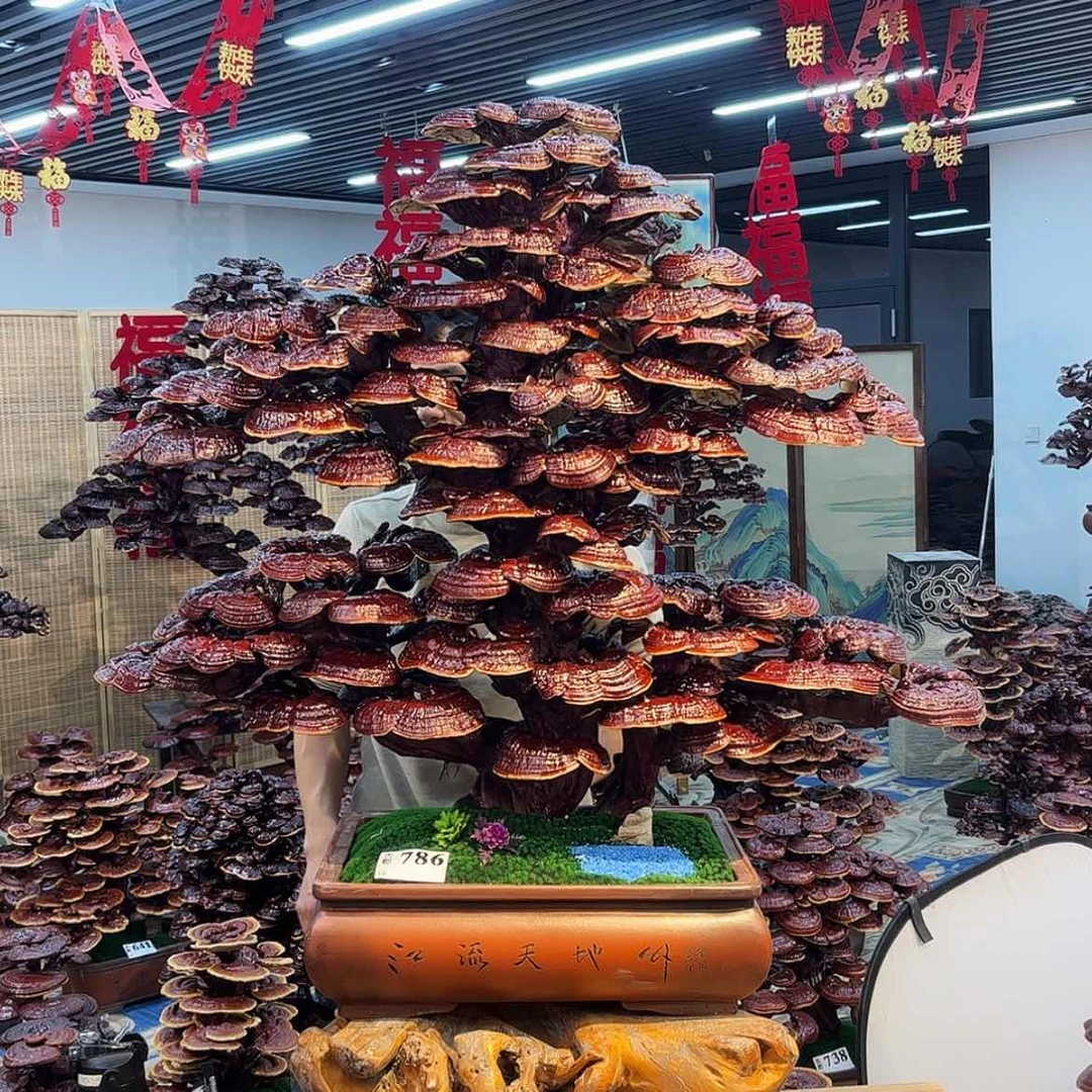 【闪购商品】588888