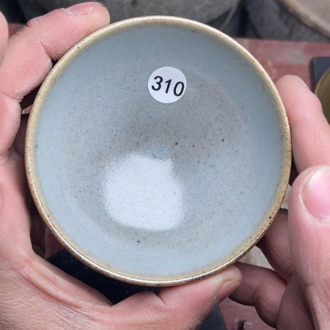 茶盏加油加油继续310