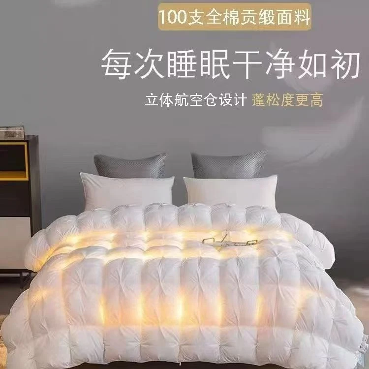 五星级酒店同款羽绒被家用全棉双人冬白鹅绒被芯保暖被加厚保暖被