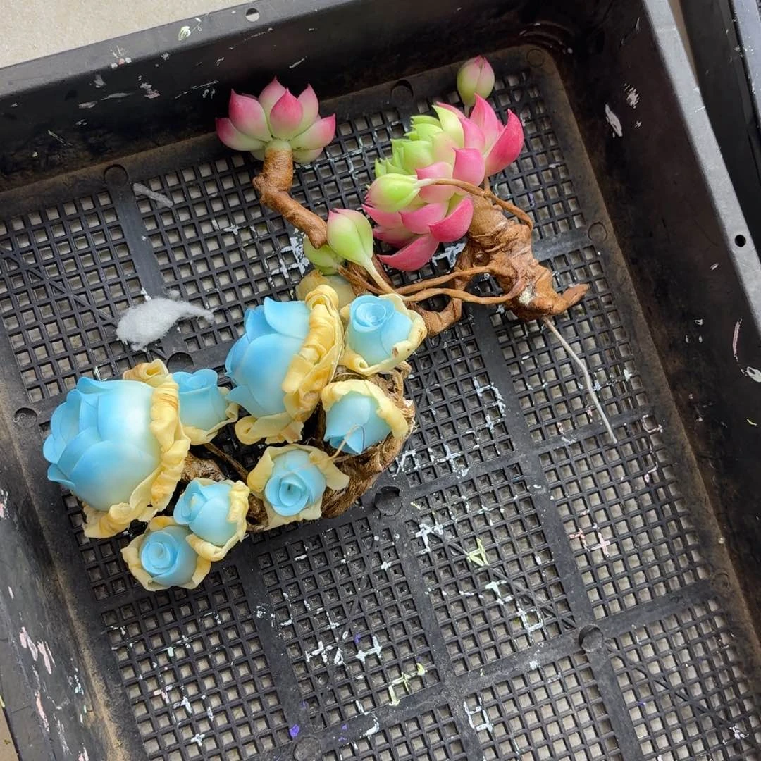 玲***歌树脂制品定向13号一筐