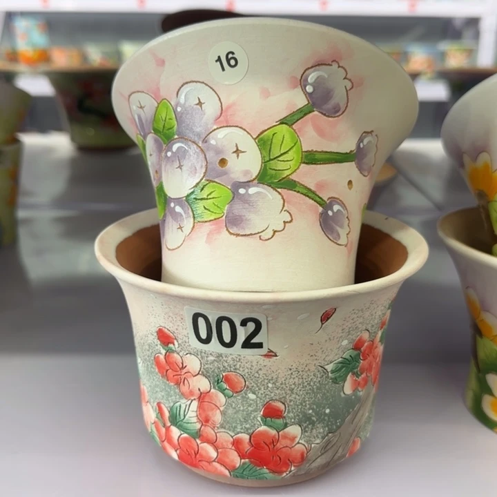 红陶田小姐多肉花盆