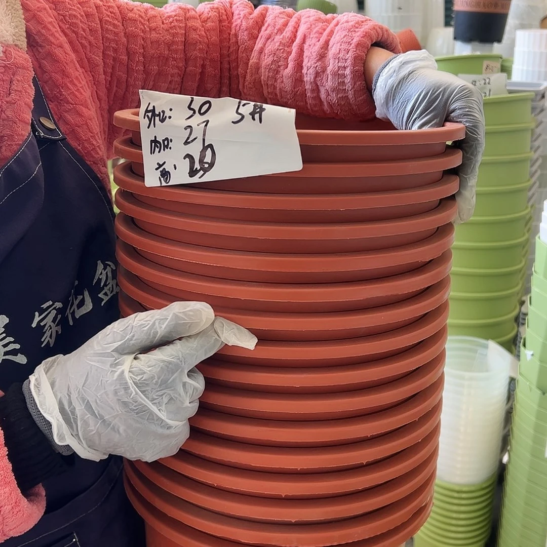 瑕疵矮胖5#红色10个无托