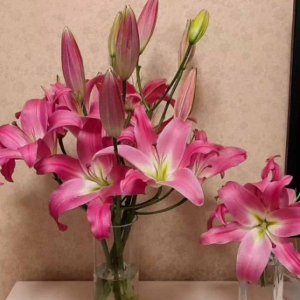 【年宵花】红色多头百合3枝