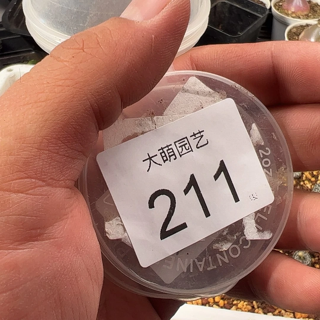 郑***究一物一拍。      211