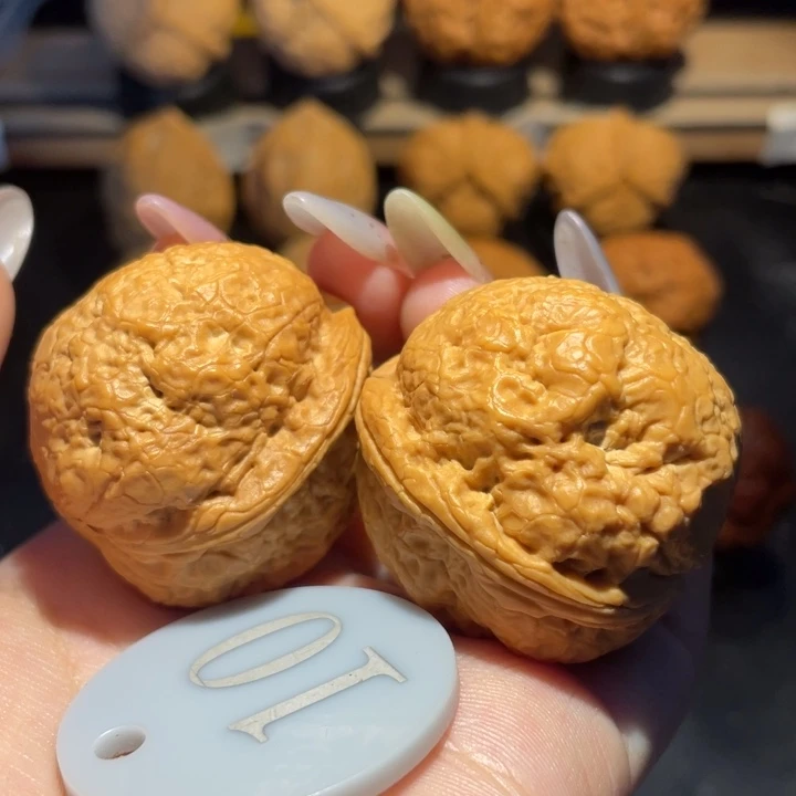 帝王蟾39尺寸核桃