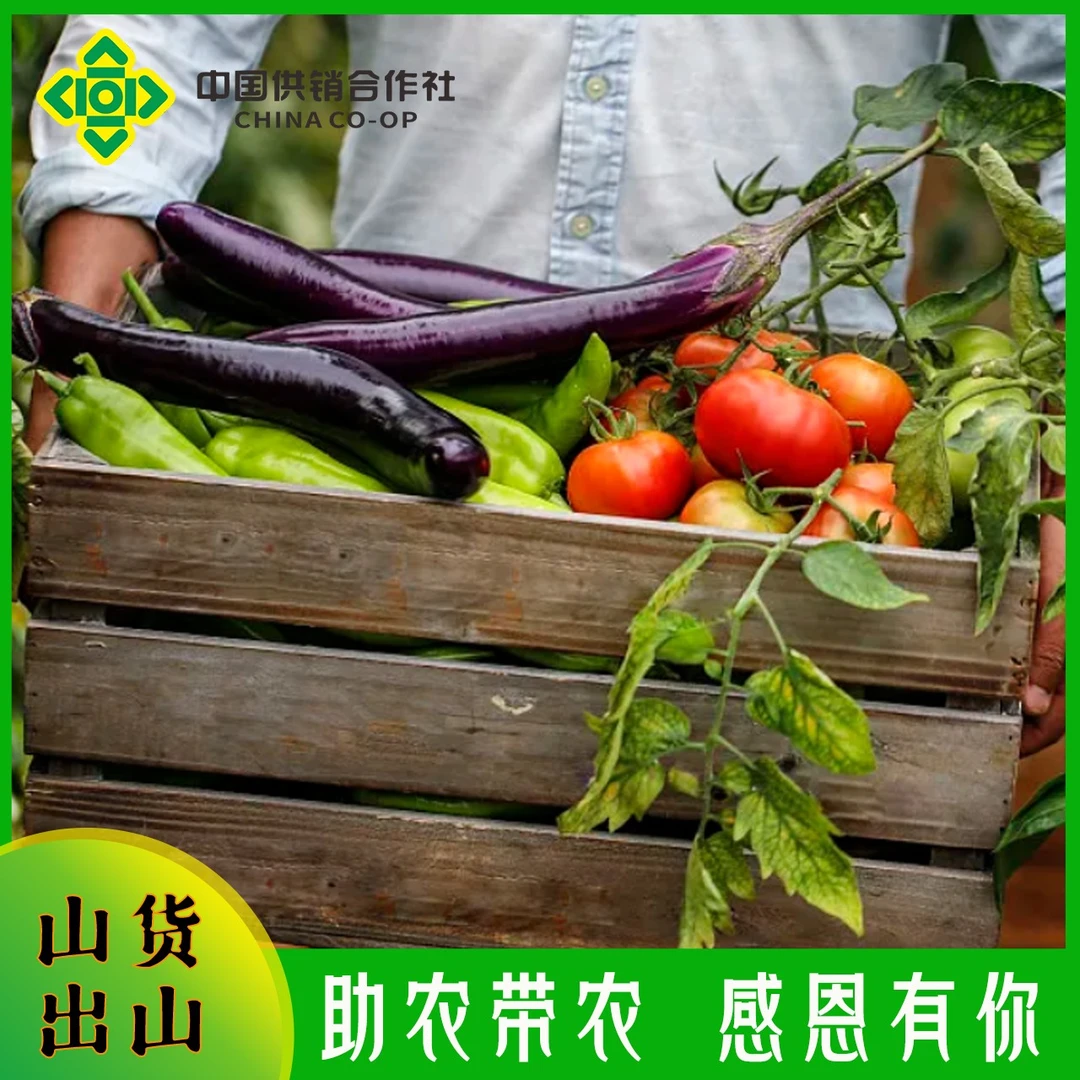 （高书记代卖）乔家坪村农产品一物一拍
