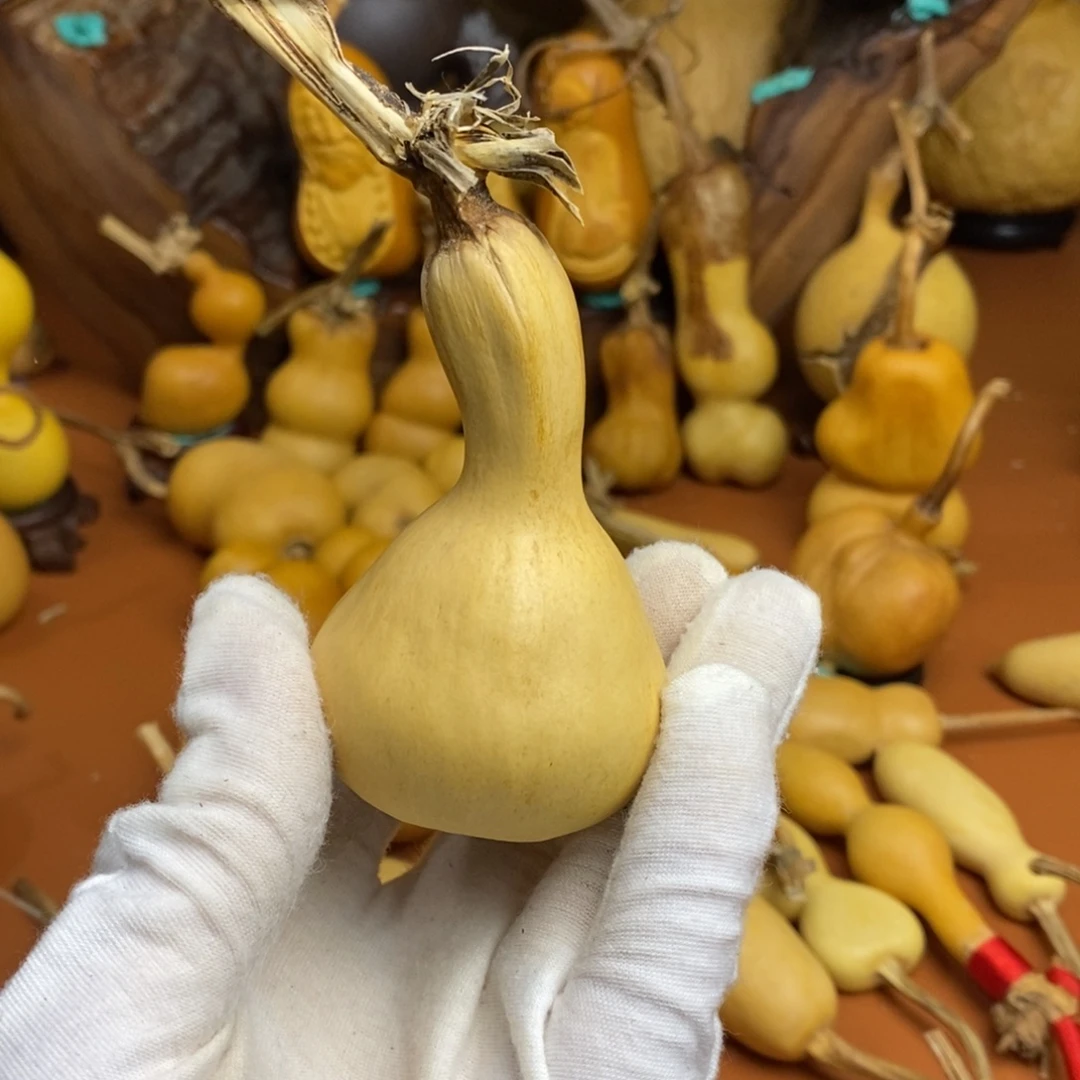 璞***緣哭了哭教练咯哭哭哭