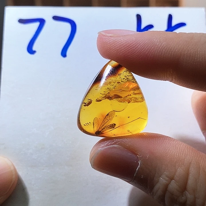 定制琥珀琥珀虫珀大蚊