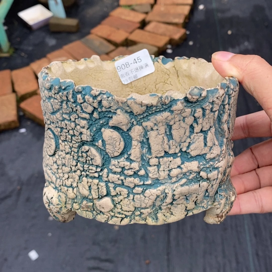 45号多肉盆口径12一卌