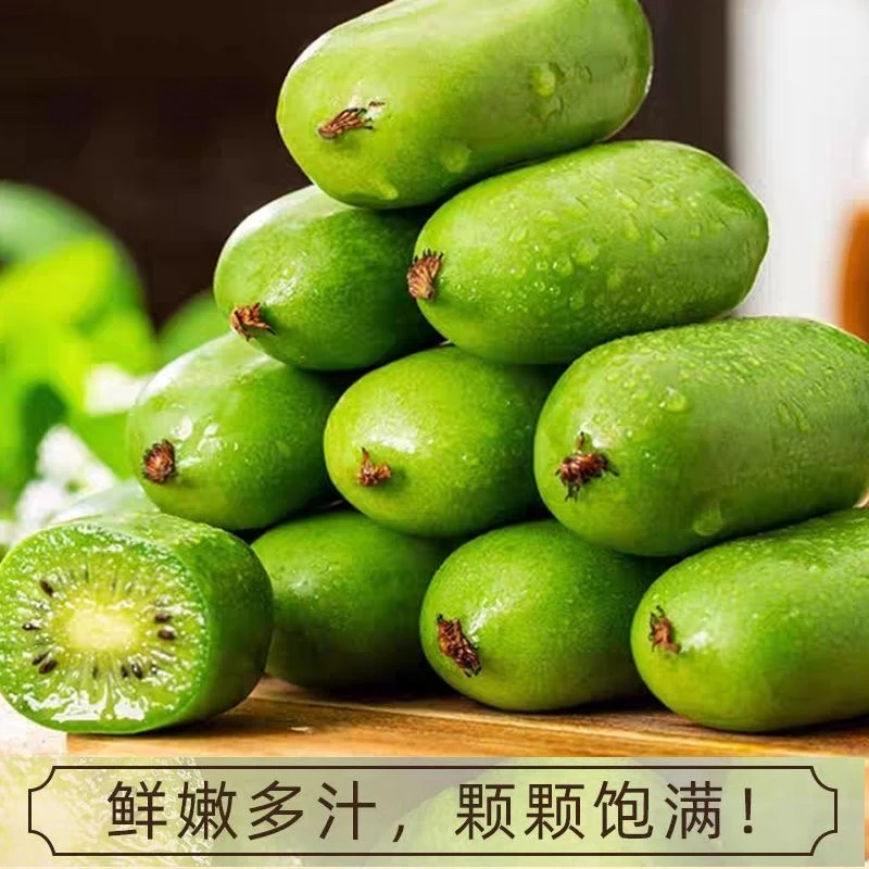 正宗丹东软枣猕猴桃奇异莓新鲜应季水果软糯香甜整箱坏果包赔