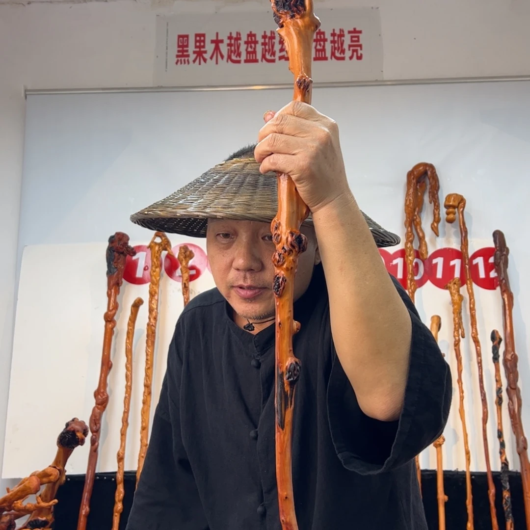 中***文其他黑果木黑果木561