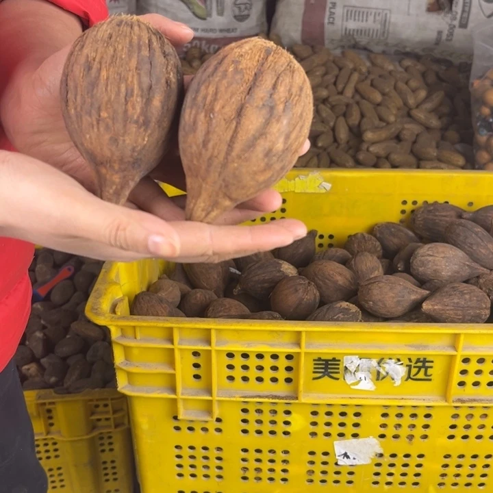 库克吊坠库克 91 号。