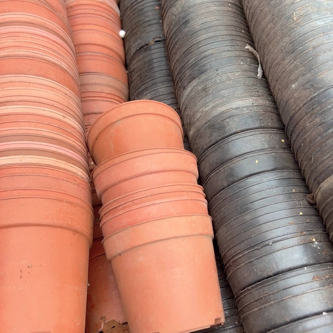 红色矮胖盆10口径8高 60个