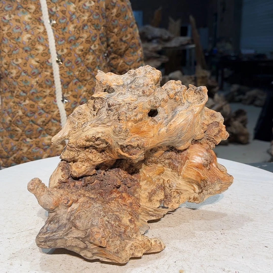 匠***木松木大自然的秘密花园