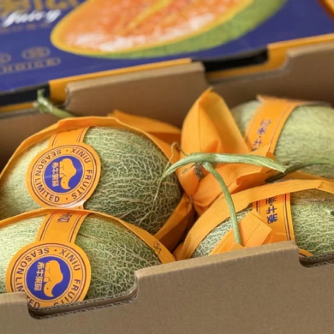 果悦优选（哈密瓜9.9一个）