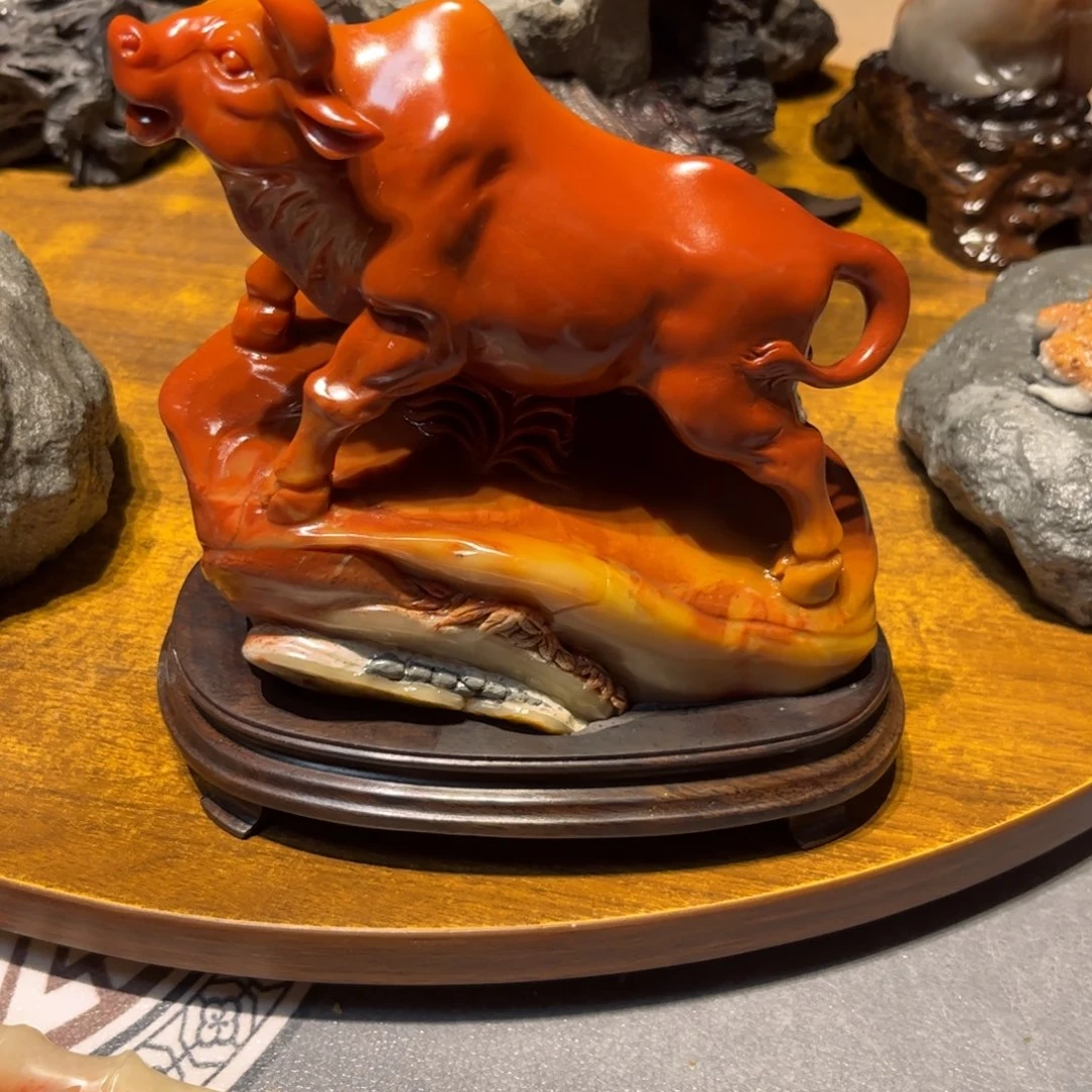 U***蚁寿山石寿山石交流活动