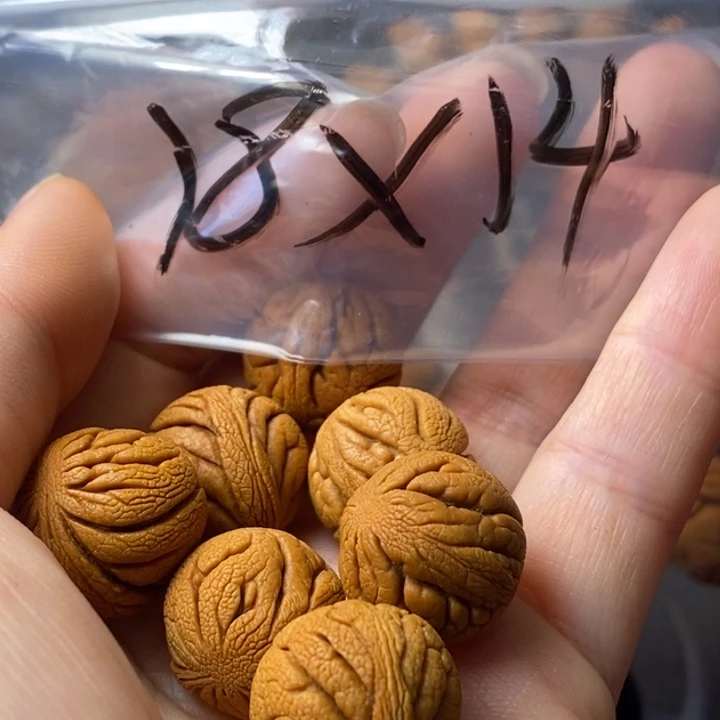 文玩核桃手串秦岭野生龙纹桃核18