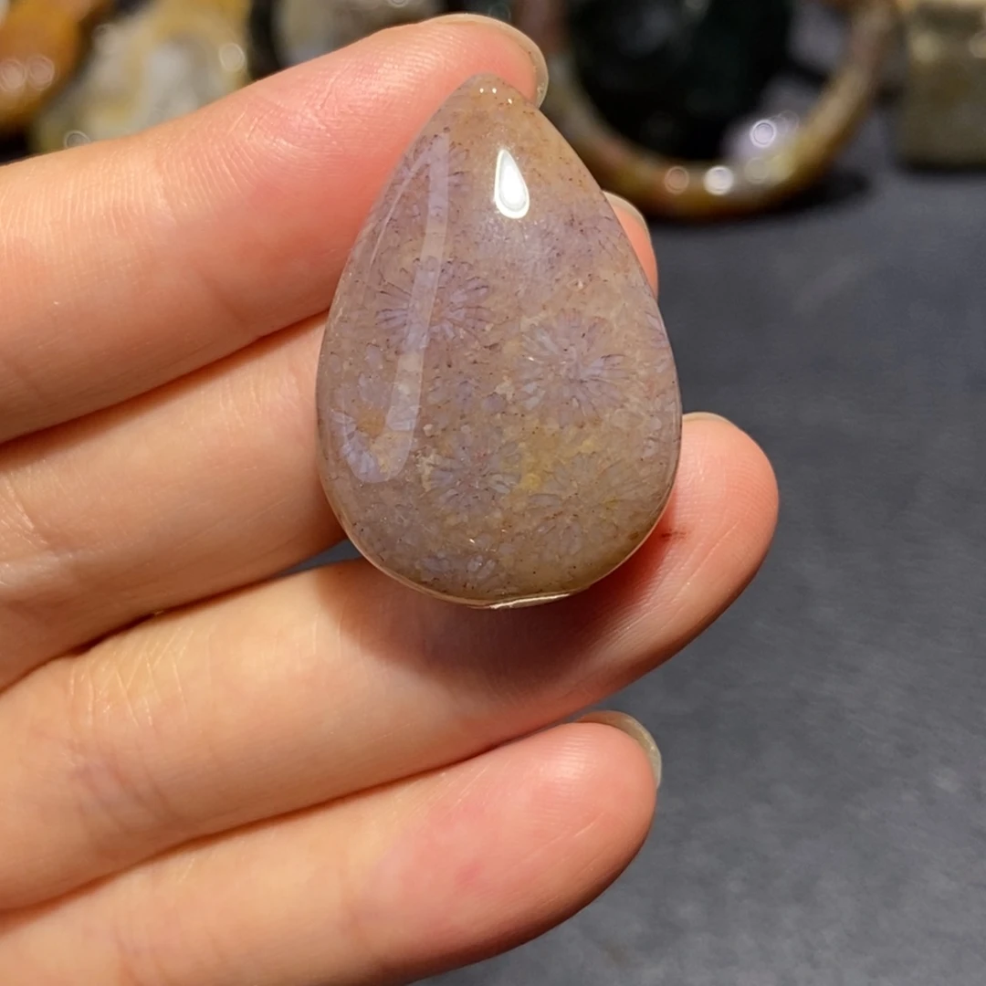 【闪购商品】未镶嵌珊瑚玉硅化玉