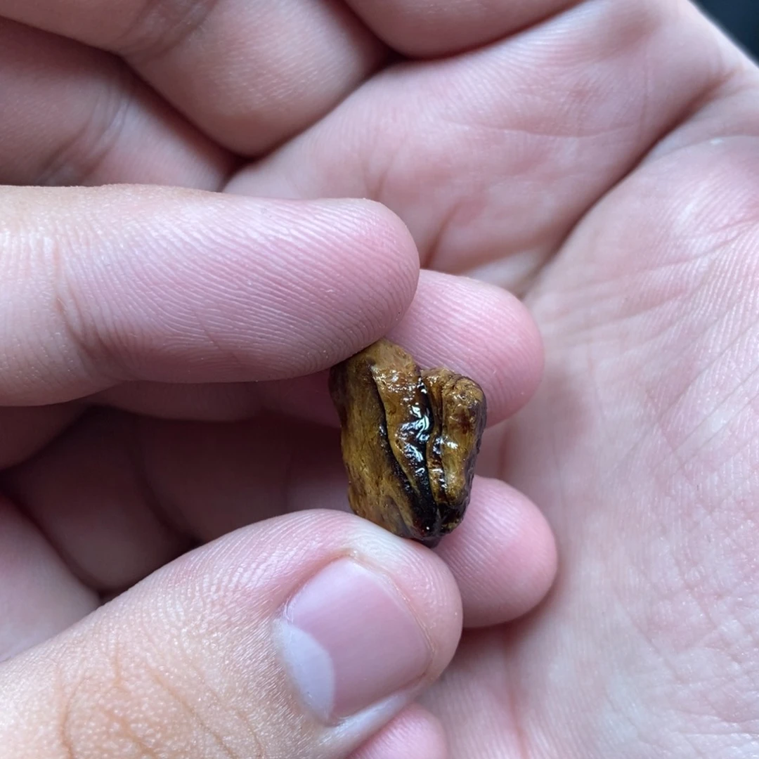 定制琥珀未镶嵌定制