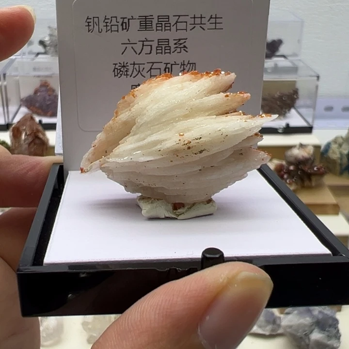 未镶嵌眼镜紫晶钒铅矿
