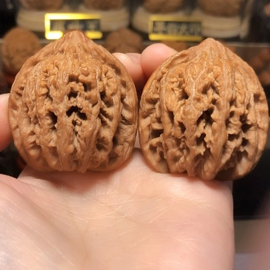 常*精品：原桩九龙筋