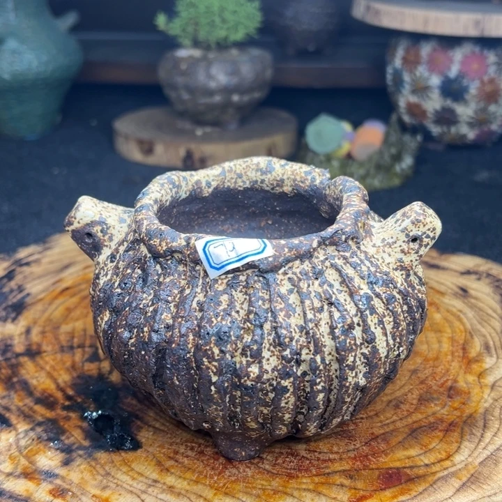 陶瓷制品不退不换15