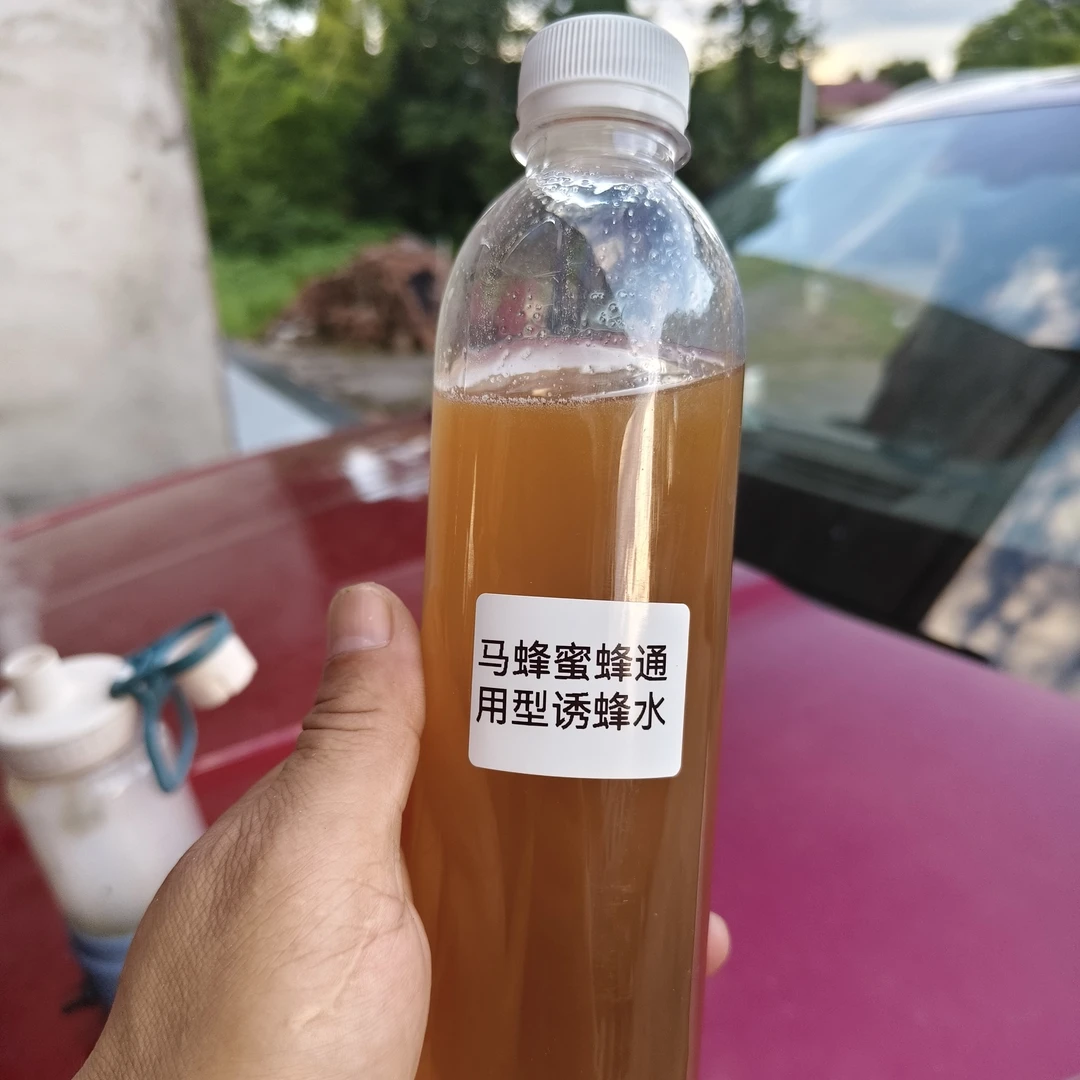金环黑尾黄脚黑盾蜜蜂，通用型诱蜂水，250克黑尾诱蜂水