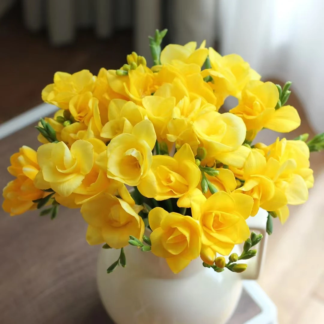10枝黄色香雪兰【两单顺丰或京东】云南鲜花基地