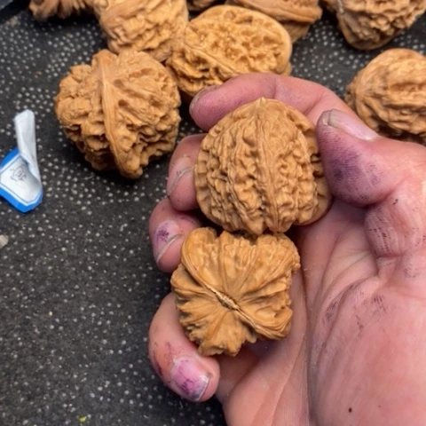 文玩核桃把件三角白5.5