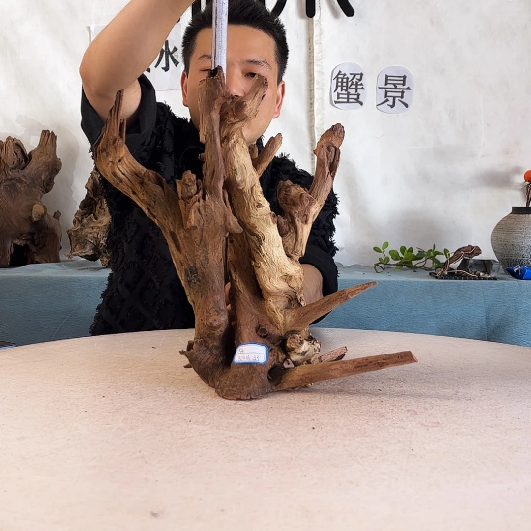 30.34.14 沉木造景爬宠造景