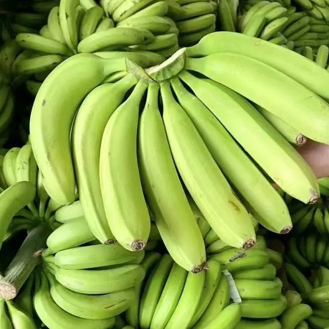 云南高山香蕉（中果）9斤